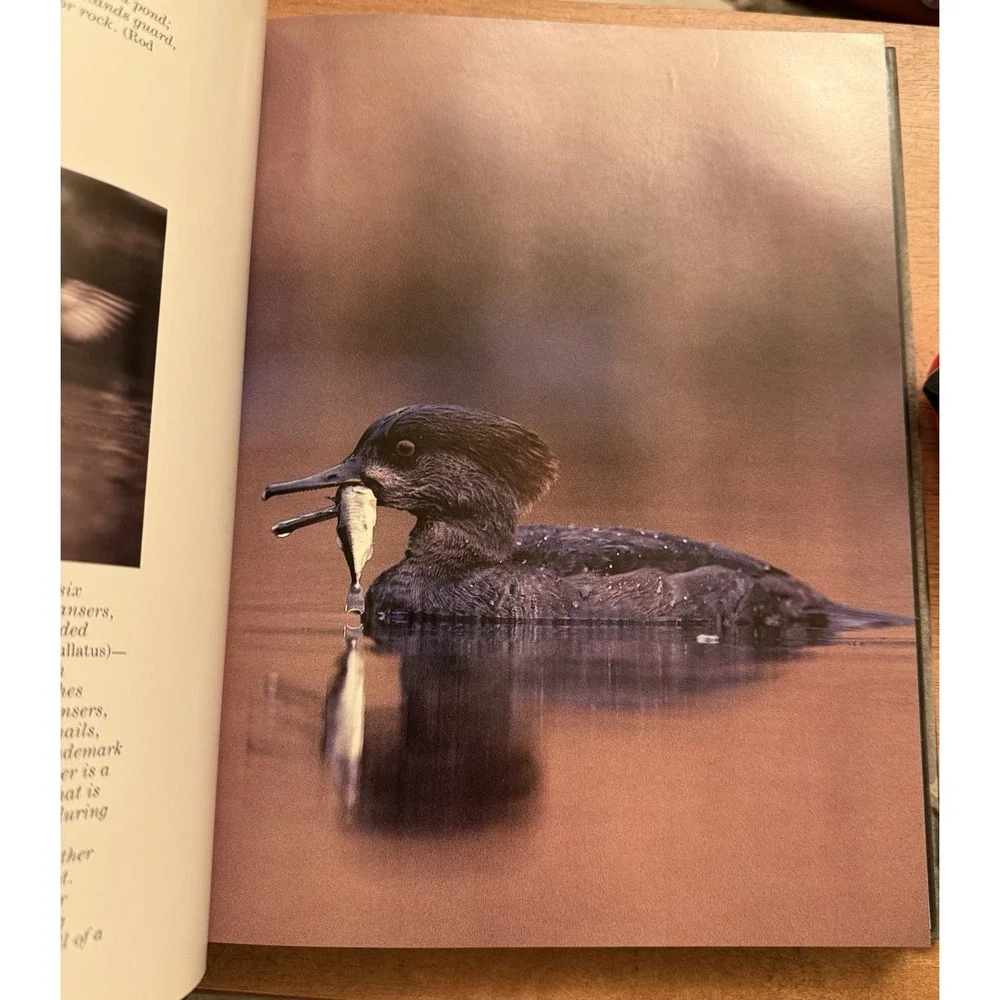 Audubon Society Book of‎ Water Birds 1987 Abrams Les Line